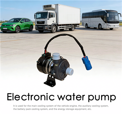 Electronic Water Pump 600W